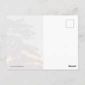 Sonnencreme Postkarte (Rückseite)