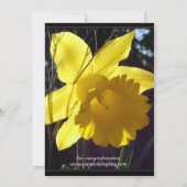 Sonnenduft Blume Hochzeitseinladung Einladung (Rückseite)