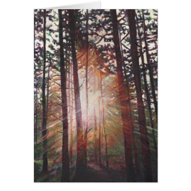 Sonnendurchbruch 2010 (Vorne)