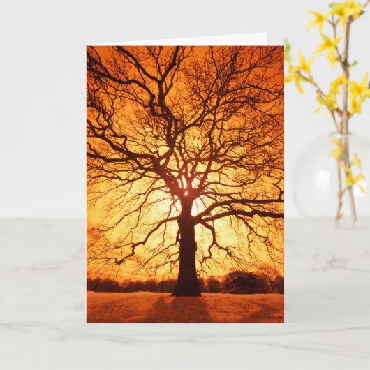 Sonnendurchbruch Karte (Gelbe Blume)