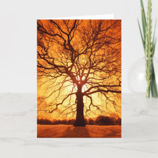 Sonnendurchbruch Karte