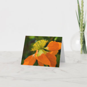 Sonnendurchbruch-Mohnblume Notecard Karte