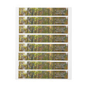 Sonnendurchflutete Herbstlandschaft (Bogen)