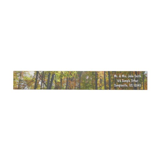 Sonnendurchflutete Herbstlandschaft (Person)
