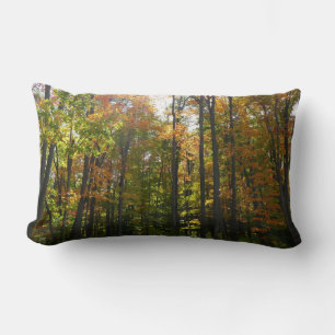 Sonnendurchflutete Herbstlandschaft Lendenkissen