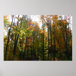 Sonnendurchflutete Herbstlandschaft Poster