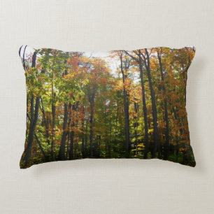 Sonnendurchflutete Herbstlandschaft Zierkissen