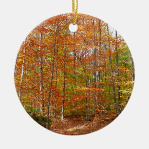 Sonnendurchfluteter Herbstweg im Laurel Hill Park Keramik Ornament