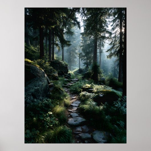 Sonnendurchfluteter Waldweg durch alte Kiefern Poster (Vorne)