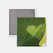 Sonnendurchflutetes-Blatt-Herz-Magnet Magnet (Vorderseite/Rückseite)