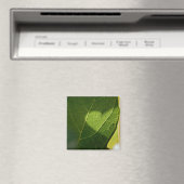 Sonnendurchflutetes-Blatt-Herz-Magnet Magnet (In Situ (Geschirrspüler))