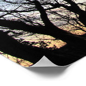 Sonneneinstrahlung durch Äste Poster (Ecke)