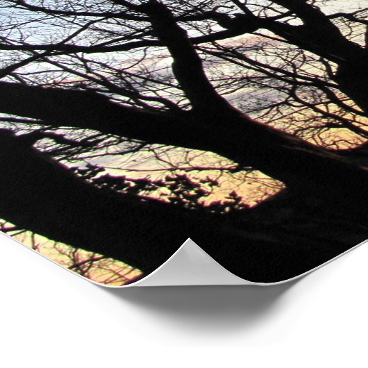 Sonneneinstrahlung durch Äste Poster (Ecke)