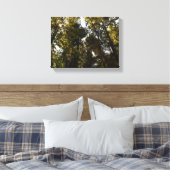 Sonneneinstrahlung durch die Bäume Leinwanddruck (Insitu (Schlafzimmer))