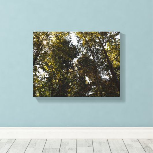 Sonneneinstrahlung durch die Bäume Leinwanddruck (Insitu (Holzboden))