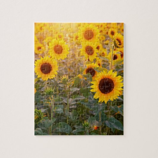 SONNENFELD 8X10 JIGSAW PUZZLE (Vertikal)