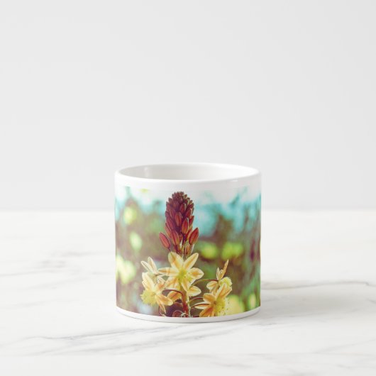 Sonnenfeld Espressotasse (Vorderseite)