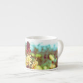 Sonnenfeld Espressotasse (Vorderseite Rechts)