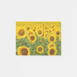 Sonnenfeld Post-it Klebezettel