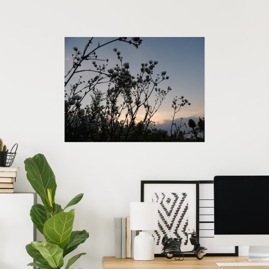 Sonnenfeld wild lebender Blume Poster (Heimbüro)