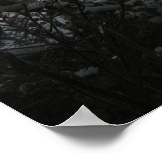 Sonnenfeld wild lebender Blume Poster (Ecke)