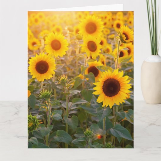 SONNENFELDKARTE BEILEID KARTE (Vorderseite)