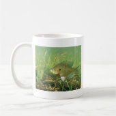 Sonnenfisch Kaffeetasse (Links)