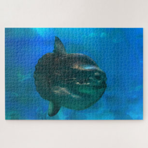 Sonnenfisch. Puzzle