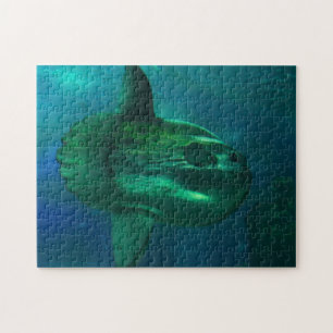 Sonnenfisch. Puzzle