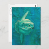 Sonnenfische, Mondfische, Unterwassertiere Art Postkarte (Vorne/Hinten)