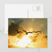 SONNENFLUGPOSTKARTE POSTKARTE (Vorne/Hinten)