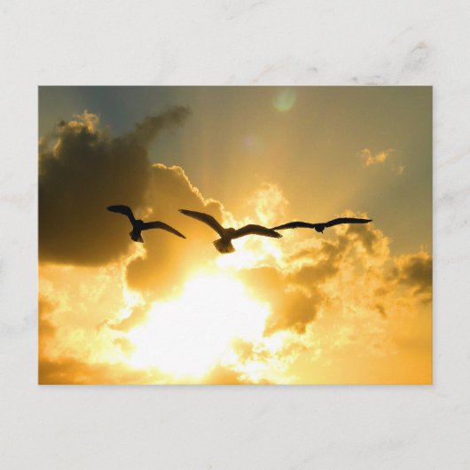 SONNENFLUGPOSTKARTE POSTKARTE (Vorderseite)