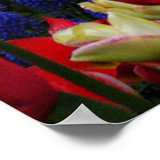 Sonnengarten Poster (Ecke)