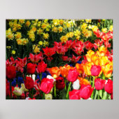 Sonnengarten Poster (Vorne)