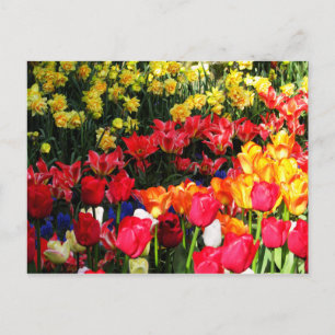 Sonnengarten Postkarte