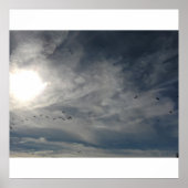 sonnengebleicht poster (Vorne)