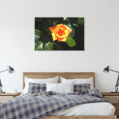 Sonnengeflutete Rose Leinwanddruck (Insitu (Schlafzimmer))