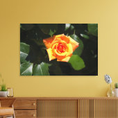 Sonnengeflutete Rose Leinwanddruck (Insitu (Wohnzimmer))