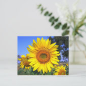 Sonnengelbe Sonnenblume Postkarte (Stehend Vorderseite)