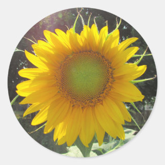 Sonnengelbe Sonnenblume Runder Aufkleber