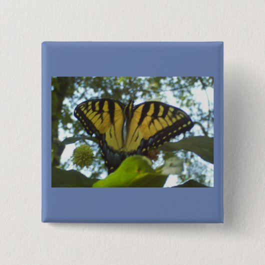 Sonnengelbes Monarch Button (Vorderseite)