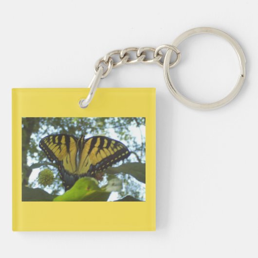 Sonnengelbes Monarch Schlüsselanhänger (Rückseite)