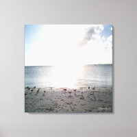 Sonnenglanz am Strand