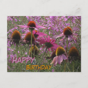 Sonnenhut Blumen Kund. Text Alles Gute zum Geburts Postkarte