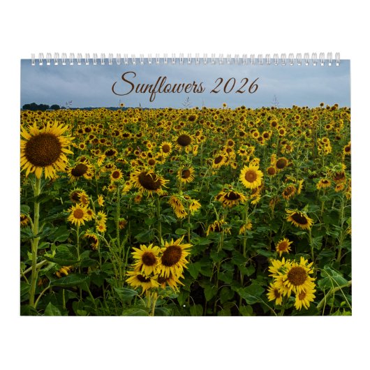 Sonnenkalender 2026 kalender (Titelbild)