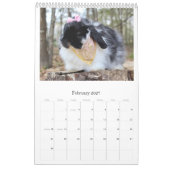 Sonnenkalender Kalender (Feb 2027)
