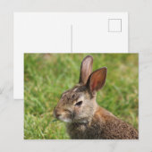 Sonnenkarte Postkarte (Vorne/Hinten)