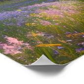 Sonnenkissenfeld grünes Gras Poster (Ecke)