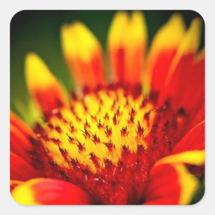 Sonnenkollektor Quadratischer Aufkleber