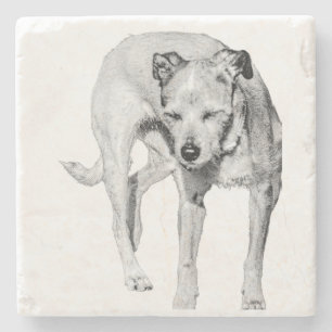 Sonnenkolz Steinuntersetzer